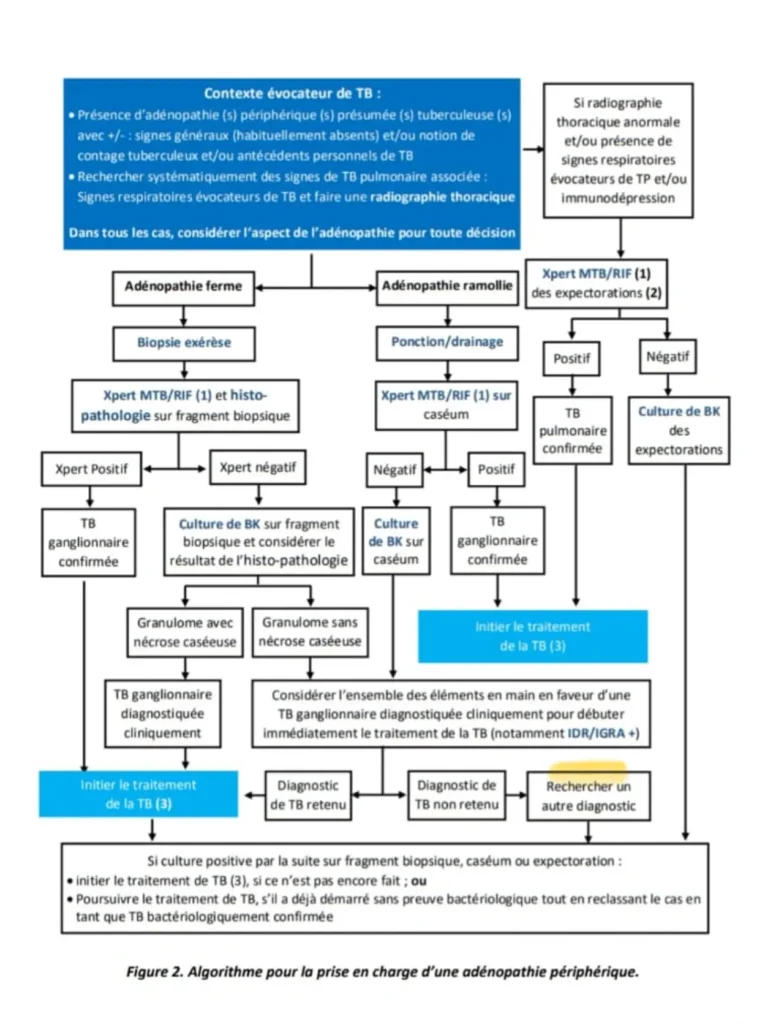 Diagramme de l'algorithme de prise en charge d'une adénopathie périphérique dans un contexte de tuberculose, montrant les étapes diagnostiques et les traitements recommandés en fonction des résultats de tests comme Xpert MTB/RIF, la culture de BK et les examens histopathologiques.